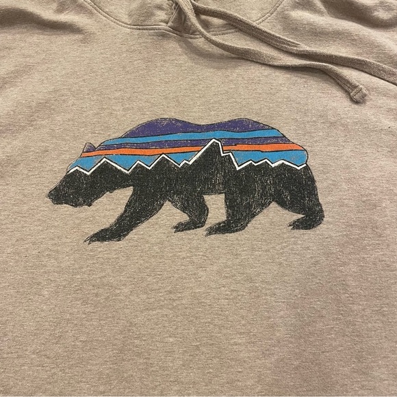 Patagonia Men’s Fitz Roy Bear Midweight Hoodie Size Medium - Picture 2 of 11